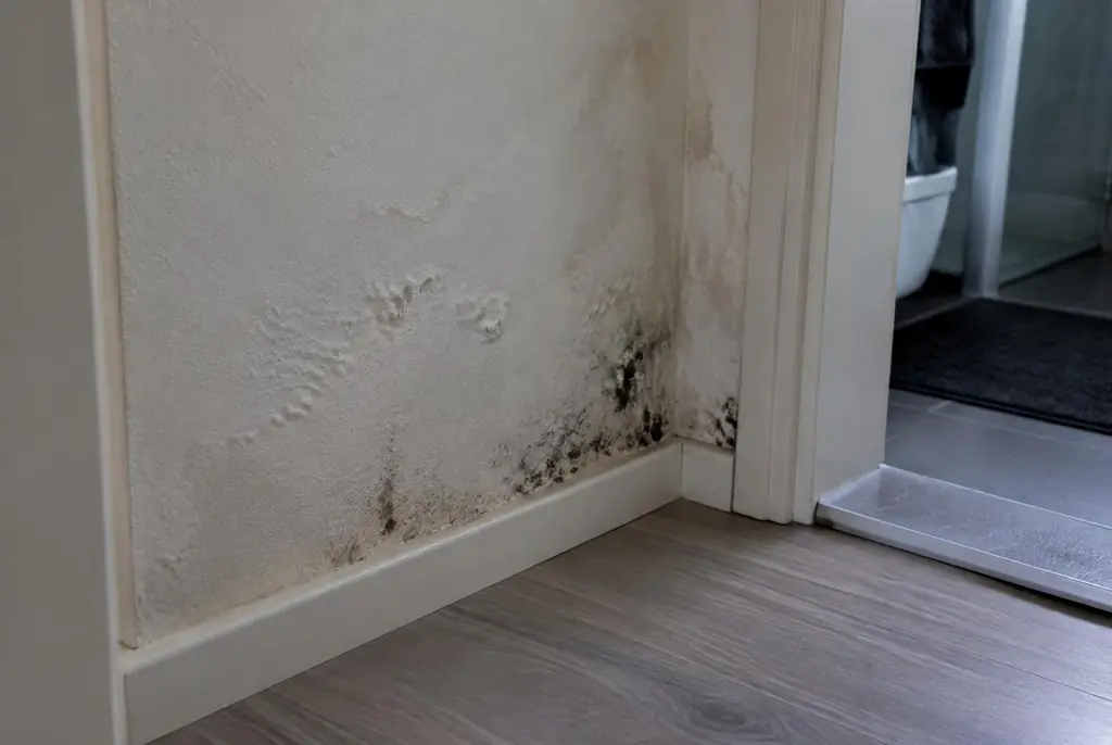 Lekdetectie Schoonhoven – vochtplek met schimmel op een muur